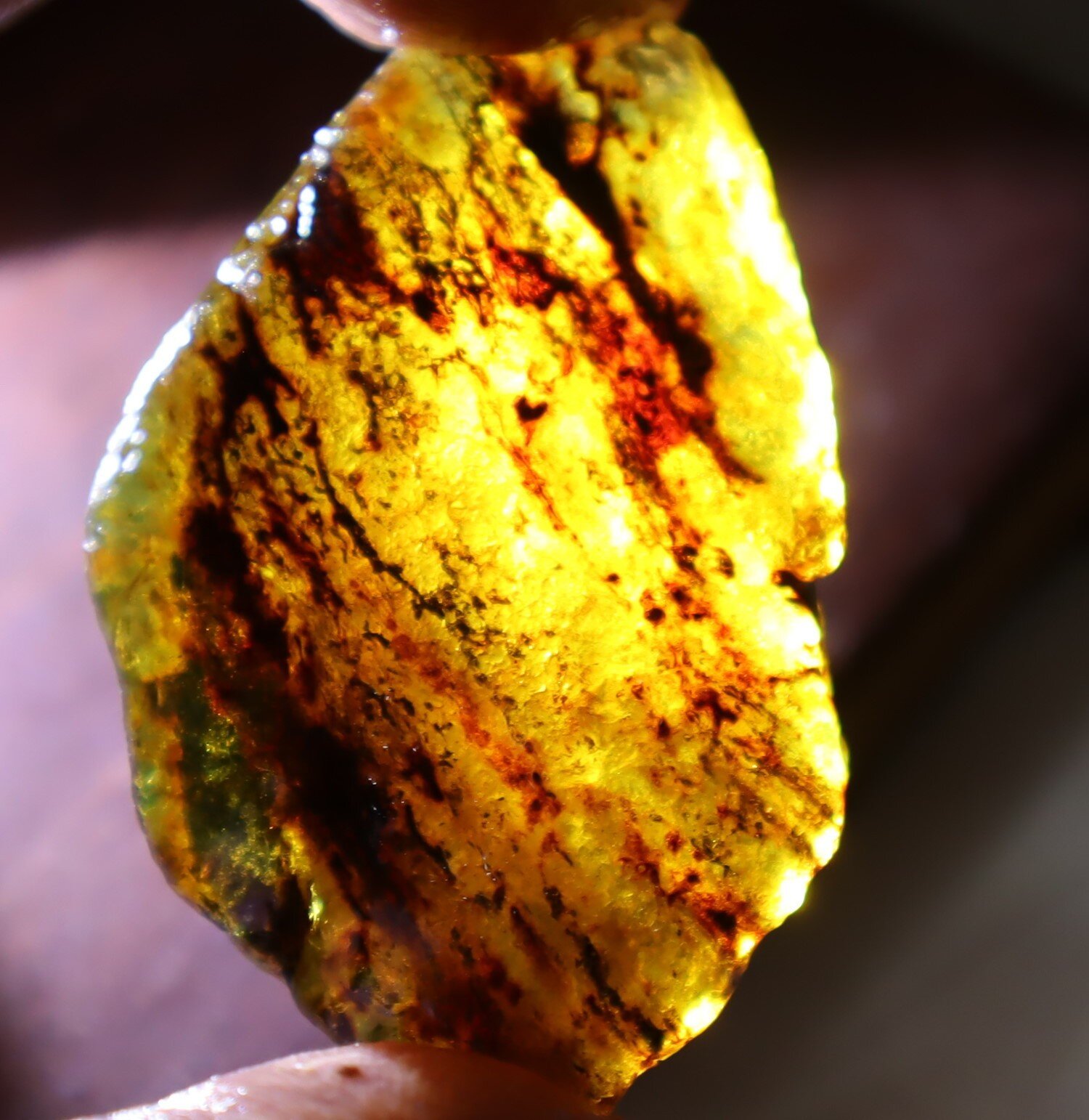 Finest Natural Dominican Clear Sky Blue Amber Rough Specimen 53mm 14g – photo 5