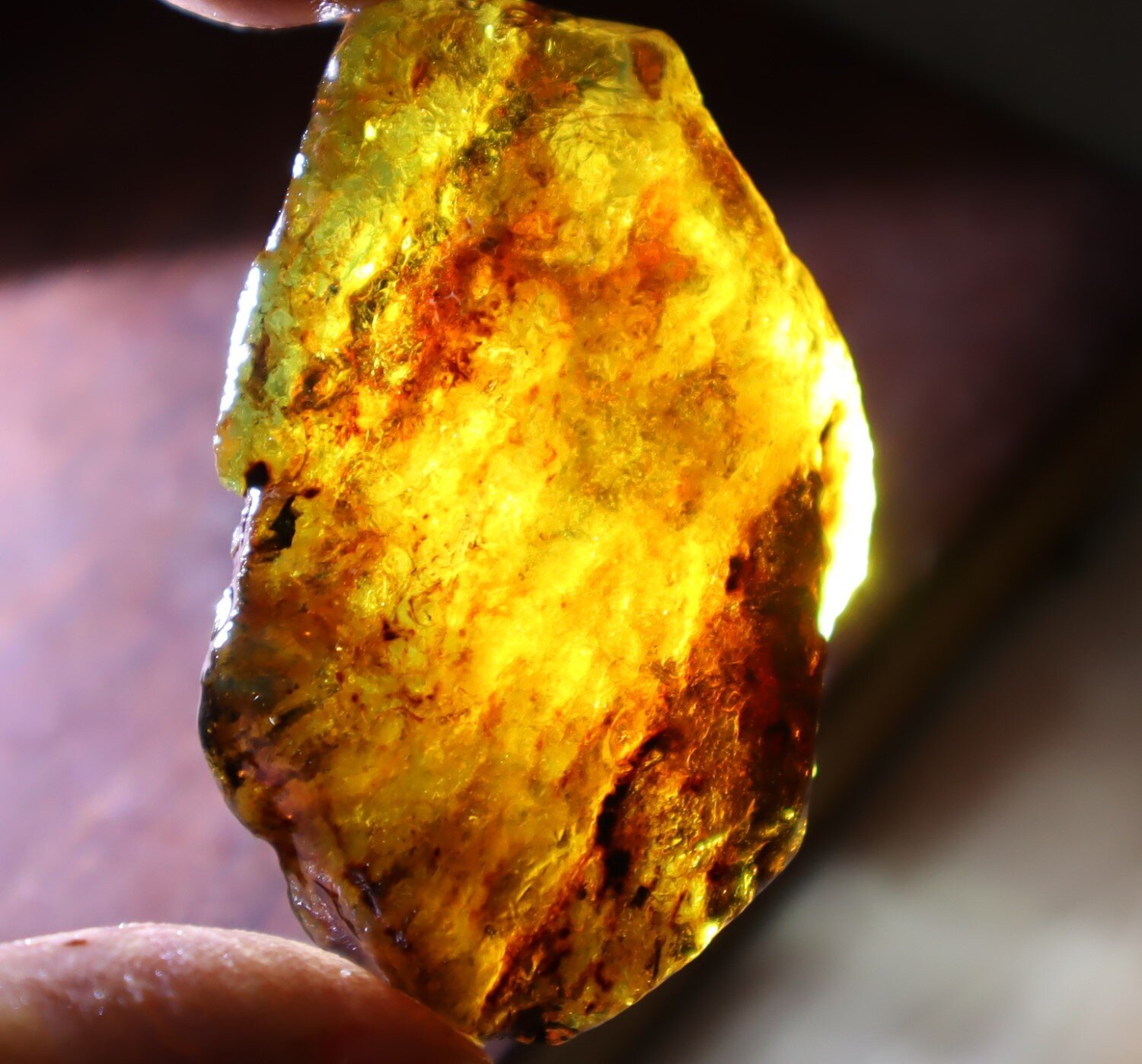 Finest Natural Dominican Clear Sky Blue Amber Rough Specimen 53mm 14g – photo 6