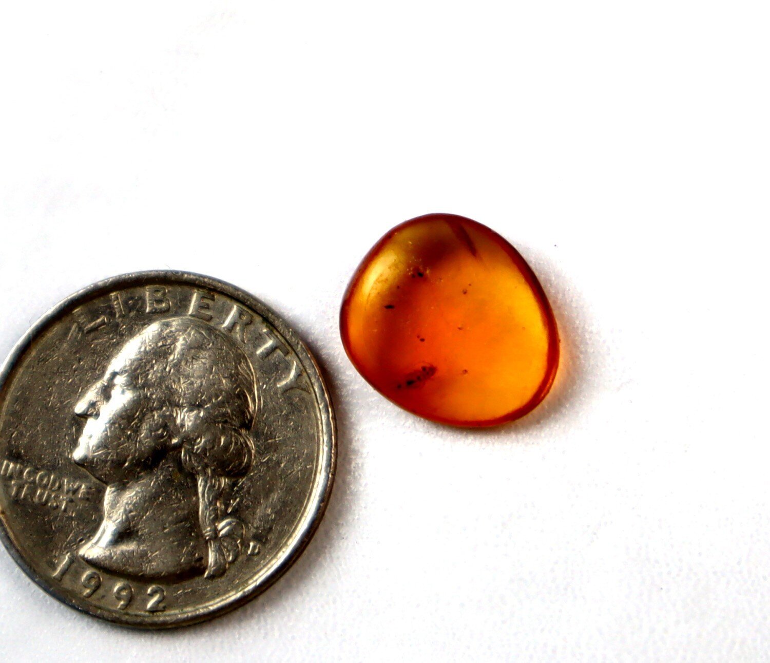Beautiful Handcrafted Parasitic Wasp (Hymenoptera) Amber Fossils/Insects 15mm – photo 3