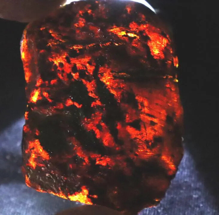 Outstanding Natural Dominican Clear Deep Blue Amber Rough Specimen 46mm 14g – photo 4