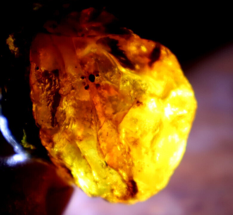 Impressive Natural Dominican Clear Sky Blue Amber Rough Specimen 36mm 14.1g – photo 9
