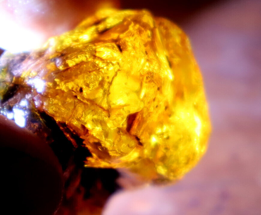 Impressive Natural Dominican Clear Sky Blue Amber Rough Specimen 36mm 14.1g – photo 12