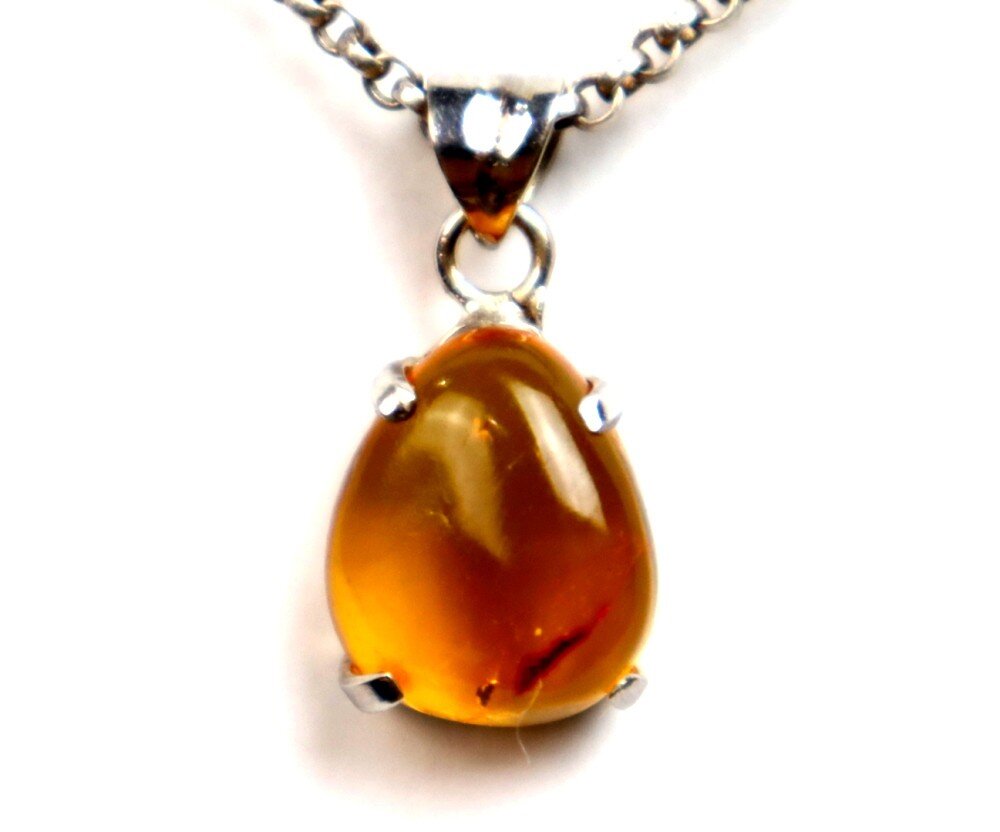 Finest Amber Insect parasitic wasp Fossil .925 Sterling Silver Pendant 28mm – photo 4