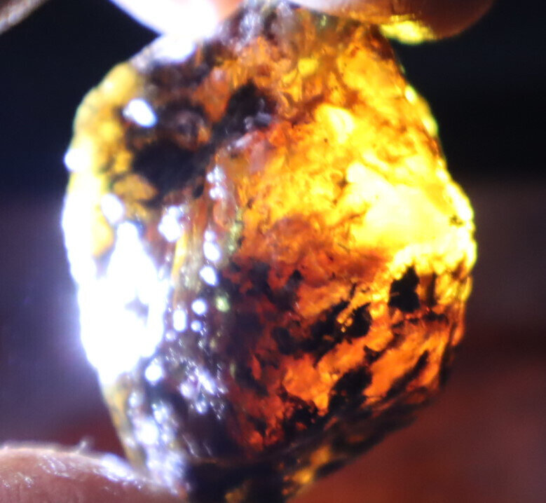Beautiful Natural Dominican Clear Sky Blue Amber Rough Specimen 41mm 17.1g – photo 9
