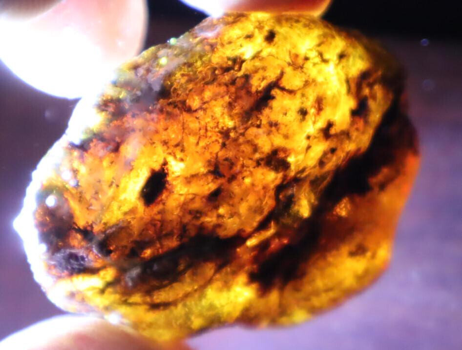 Exquisite Natural Dominican Clear Sky Blue Amber Rough Specimen 48mm 21.5g – photo 4
