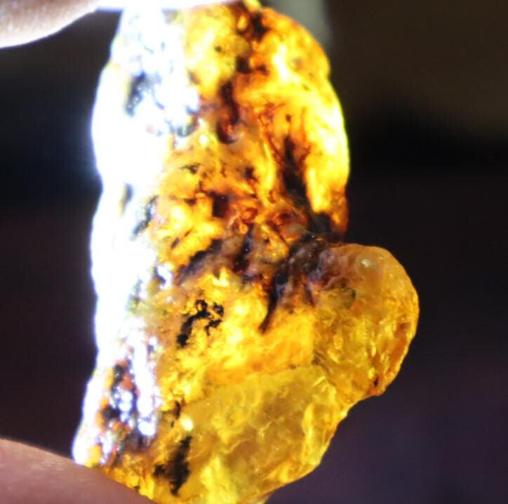 Exquisite Natural Dominican Crystal Clear Sky Blue Amber Rough Specimen 43mm 8g – photo 6