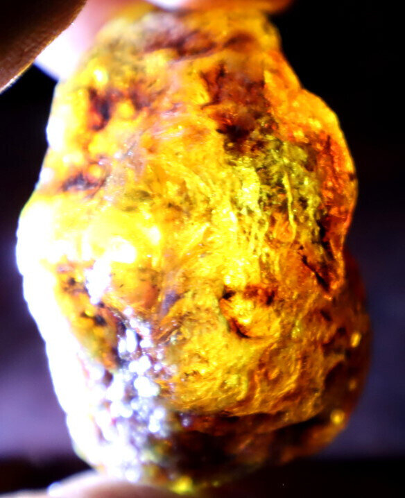Outstanding Natural Dominican Clear Yellow Blue Amber Rough Specimen 62mm 66g – photo 12