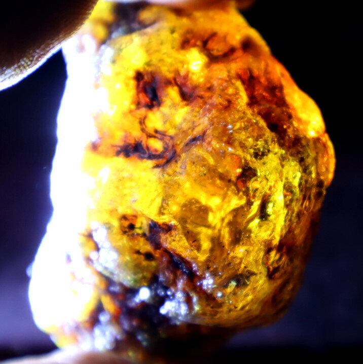 Outstanding Natural Dominican Clear Yellow Blue Amber Rough Specimen 62mm 66g – photo 13