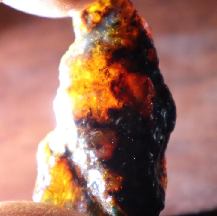 Natural Dominican Translucent Deep Blue Amber Rough Specimen 48mm 13g – photo 6