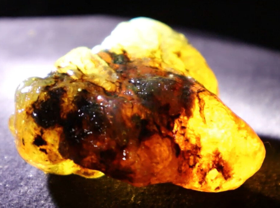 Beautiful Natural Dominican Clear Green Blue Amber Rough Specimen 53mm 31g – photo 13