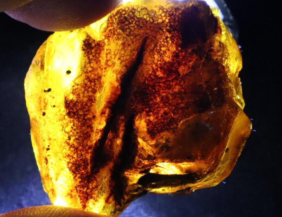 Excellent Natural Dominican Clear Deep Blue Amber Rough Specimen 36mm 11g – photo 7