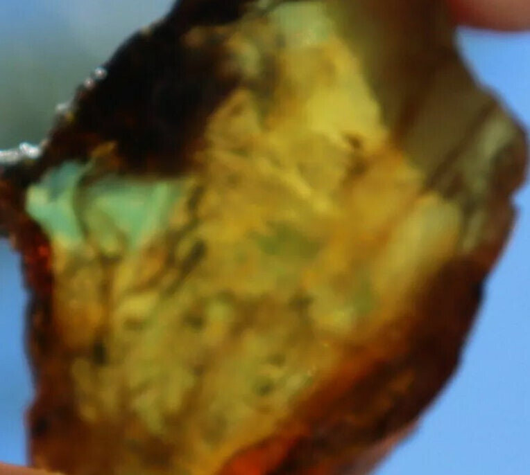 Exquisite Natural Dominican Crystal Clear Blue Amber Rough Specimen 44mm 11g – photo 5