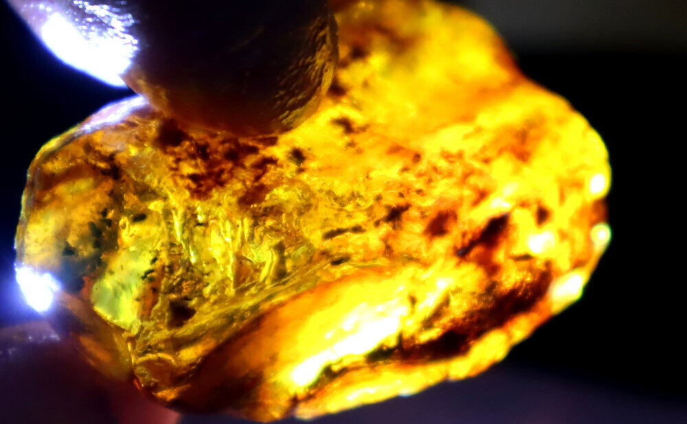 Exquisite Natural Dominican Clear Deep Blue Amber Rough Specimen 45mm 12.7g – photo 14