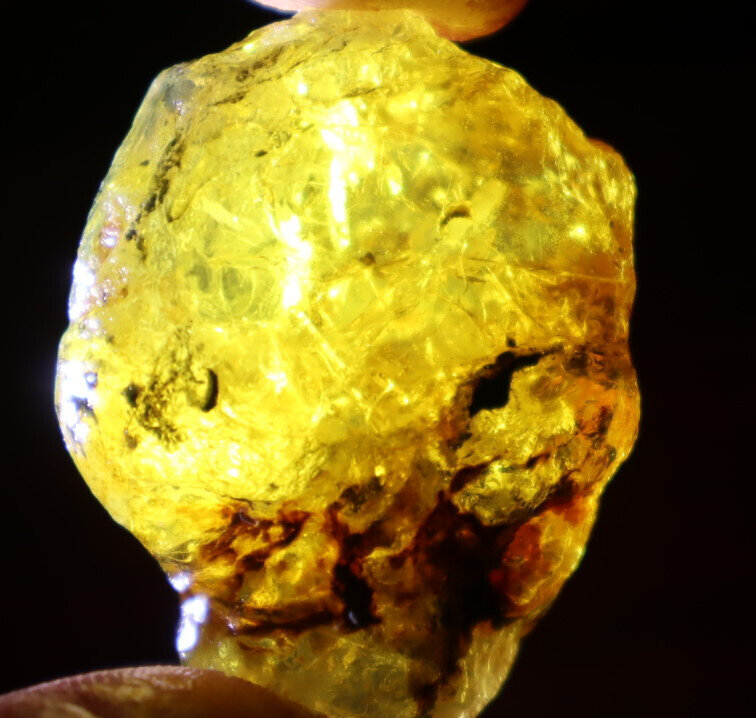 Beautiful Natural Dominican Clear Light Blue Yellow Amber Rough Specimen 43mm 14g – photo 4