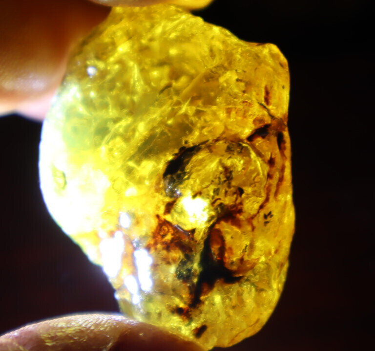 Beautiful Natural Dominican Clear Light Blue Yellow Amber Rough Specimen 43mm 14g – photo 12