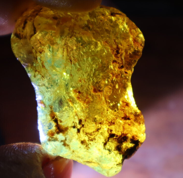 Excellent Natural Dominican Clear Yellow Blue Amber Rough Specimen 40mm 9.6g – photo 16