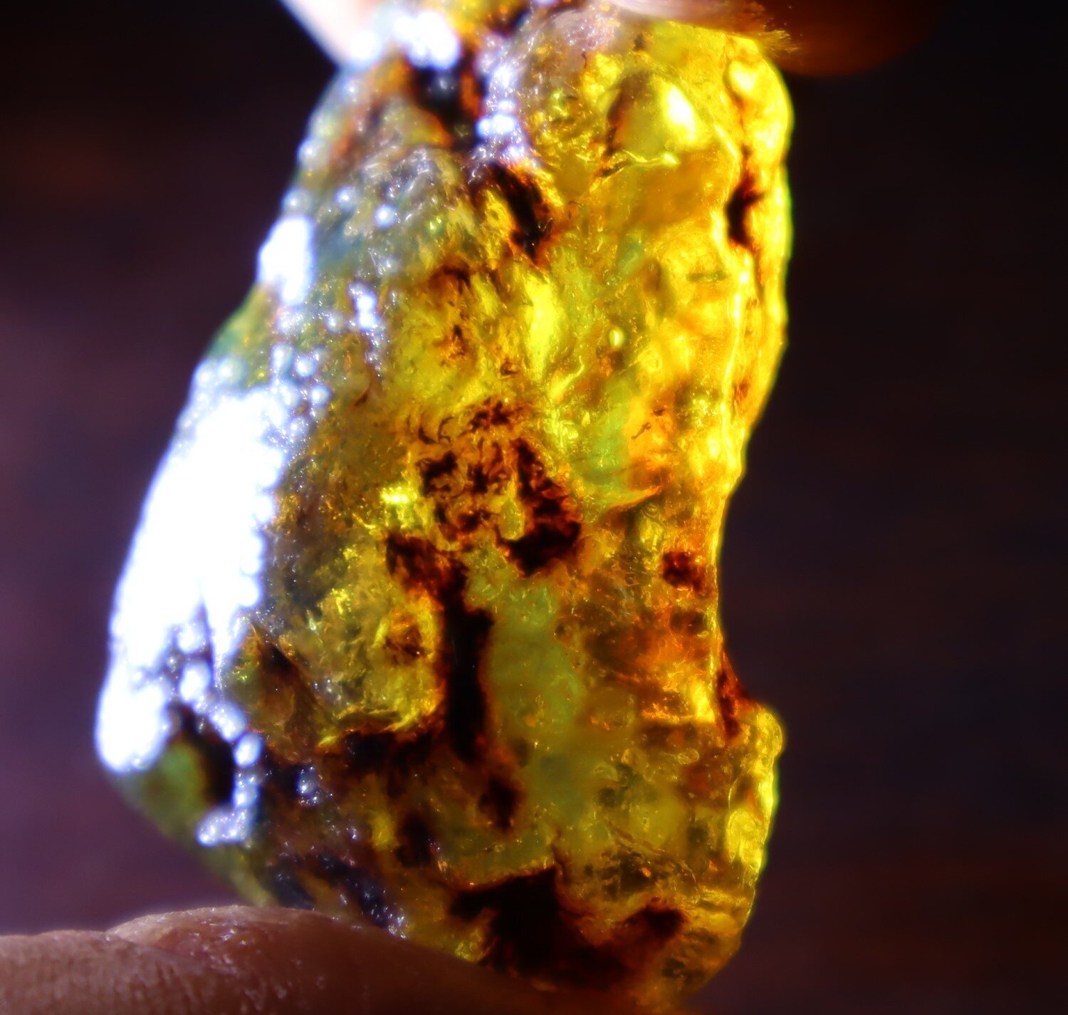 Charming Design Natural Dominican Clear Green Blue Amber Rough Specimen 43mm 11g – photo 5