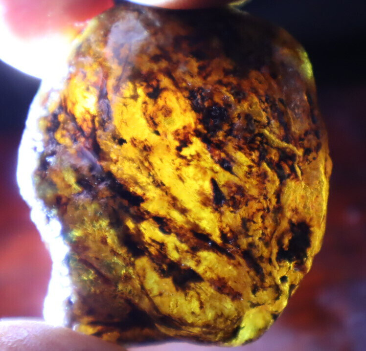 Exquisite Natural Dominican Clear Light Blue Amber Rough Specimen 46mm 22g – photo 12