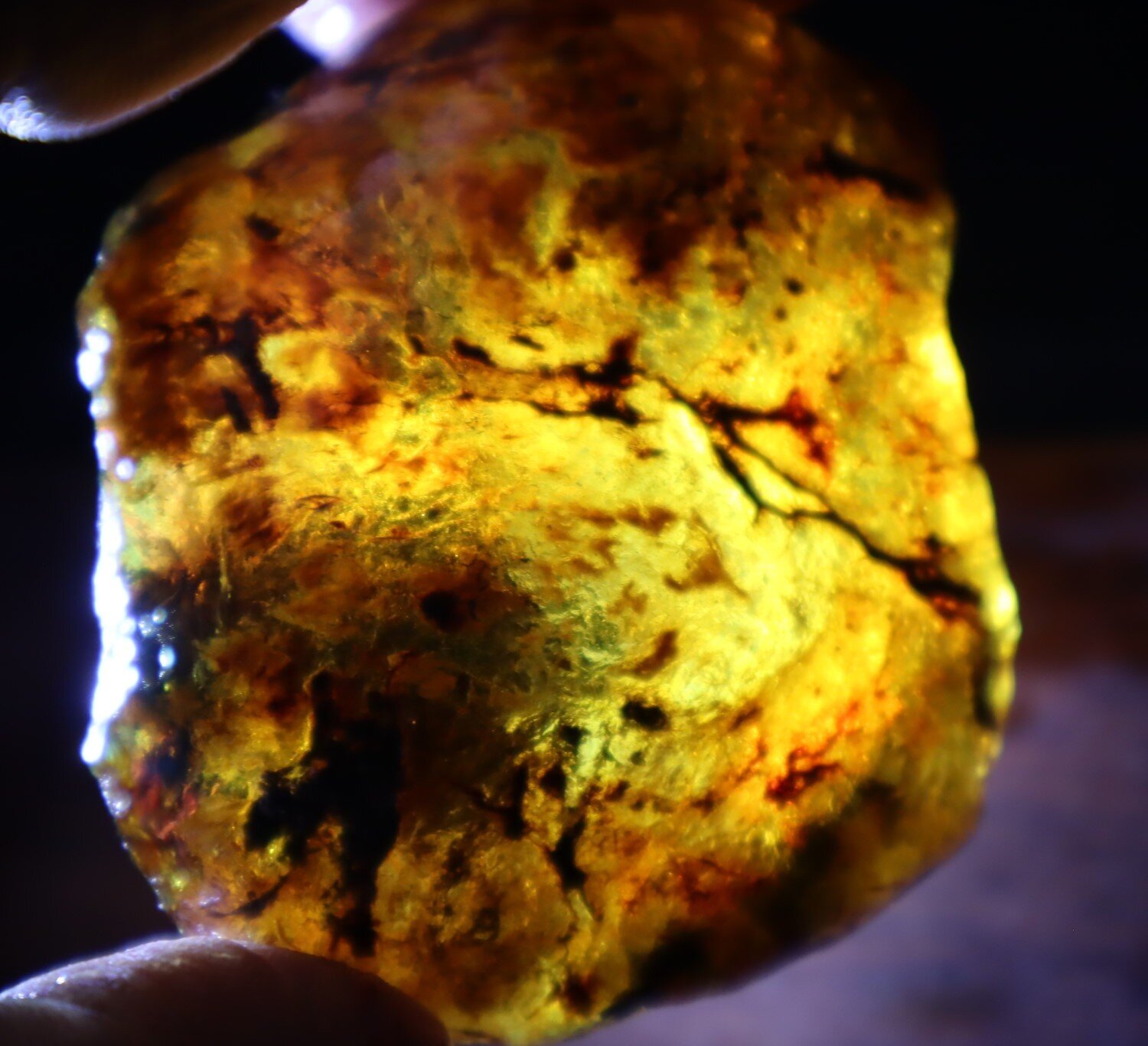 Outstanding Natural Dominican Clear Green Blue Amber Rough Specimen 60mm 36.6g – photo 8