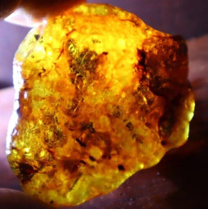 Finest Natural Dominican Crystal Clear Orange Yellow Amber Rough Specimen 27.7g – photo 6