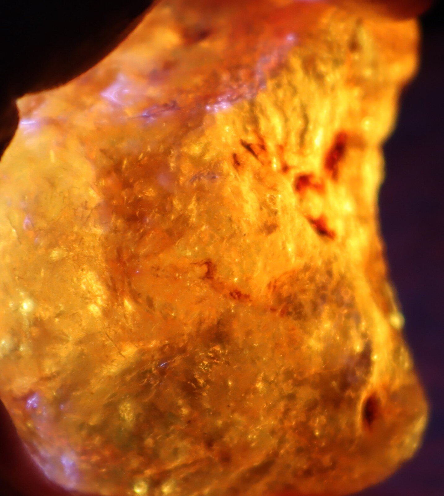 Beautiful Natural Dominican Clear Green Blue Amber Rough Specimen 51mm 47.8g – photo 8