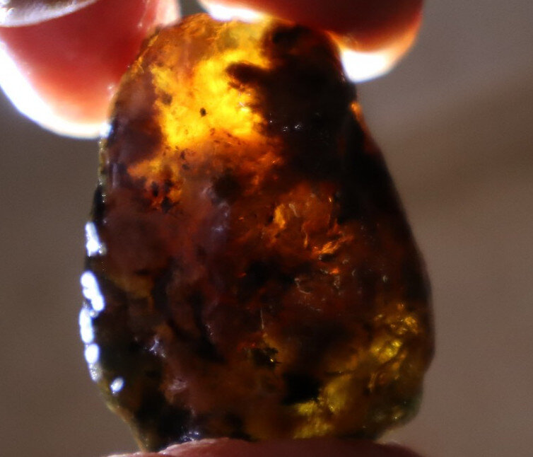 Fine Rare Green Blue Dominican Amber Rough Specimen Chunk 39mm 15.2g – photo 11