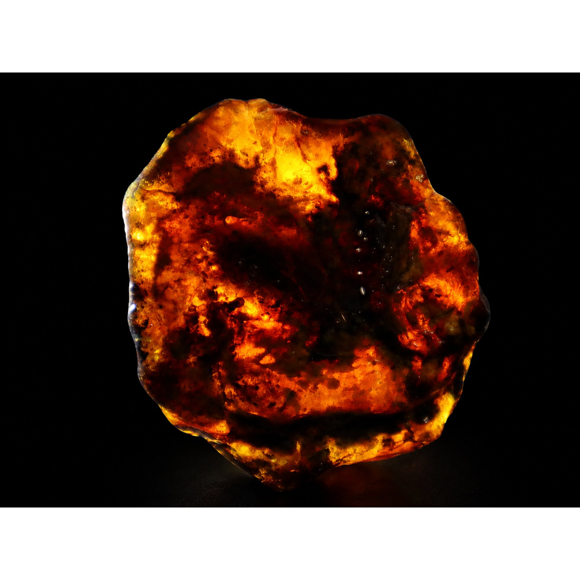 Translucent deep blue Natural Dominican Amber rough Specimen 56 mm – photo 6