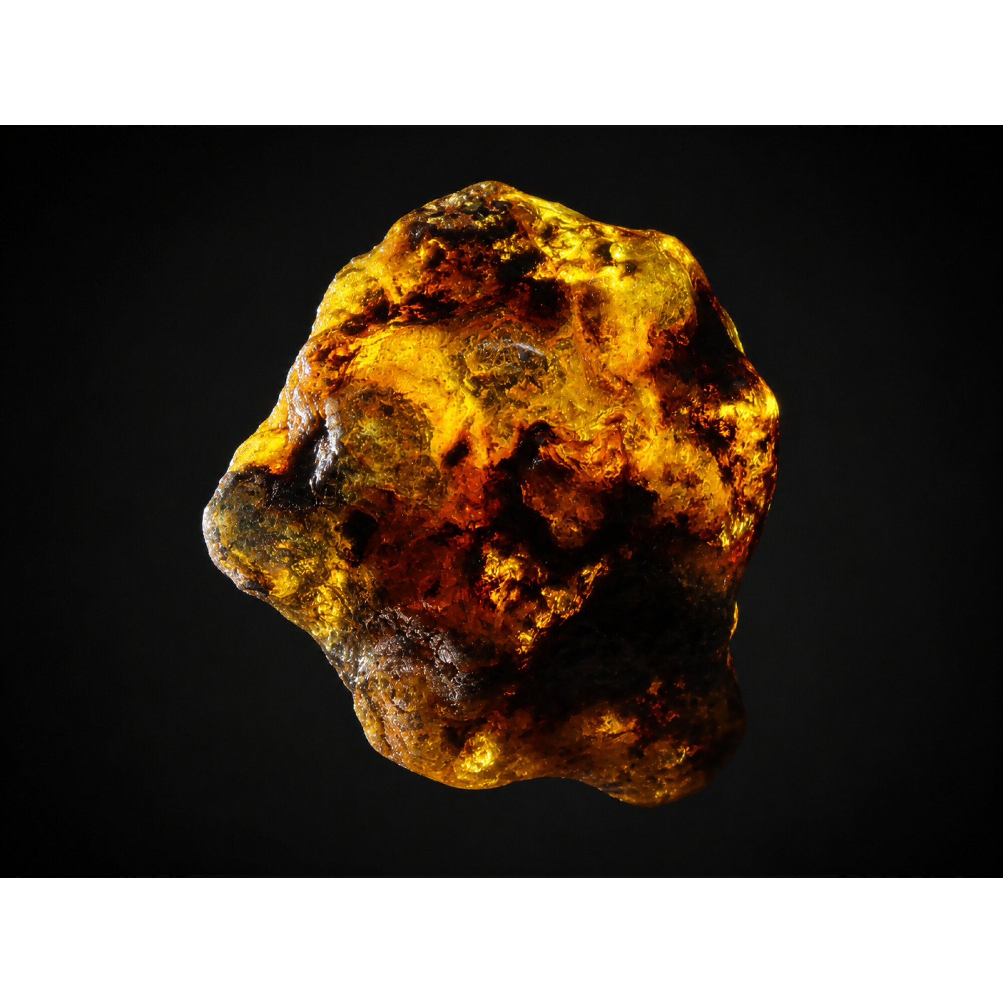 Translucent deep blue Natural Dominican Amber rough Specimen 43 mm – photo 2