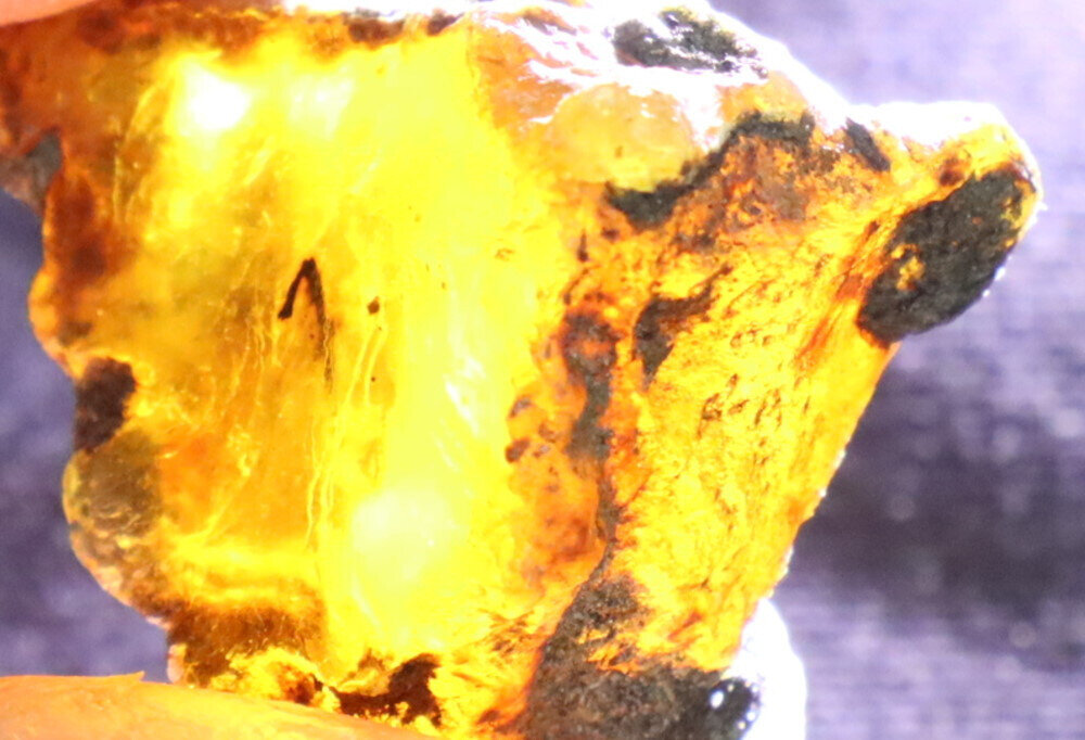 Beautiful Natural Dominican Clear Light Blue Amber Rough Specimen 24mm 6g – photo 11