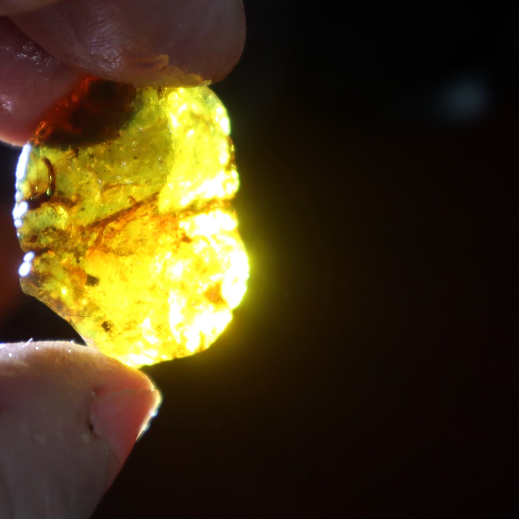 Genuine sky blue rough specimen Dominican amber 30mm – photo 8