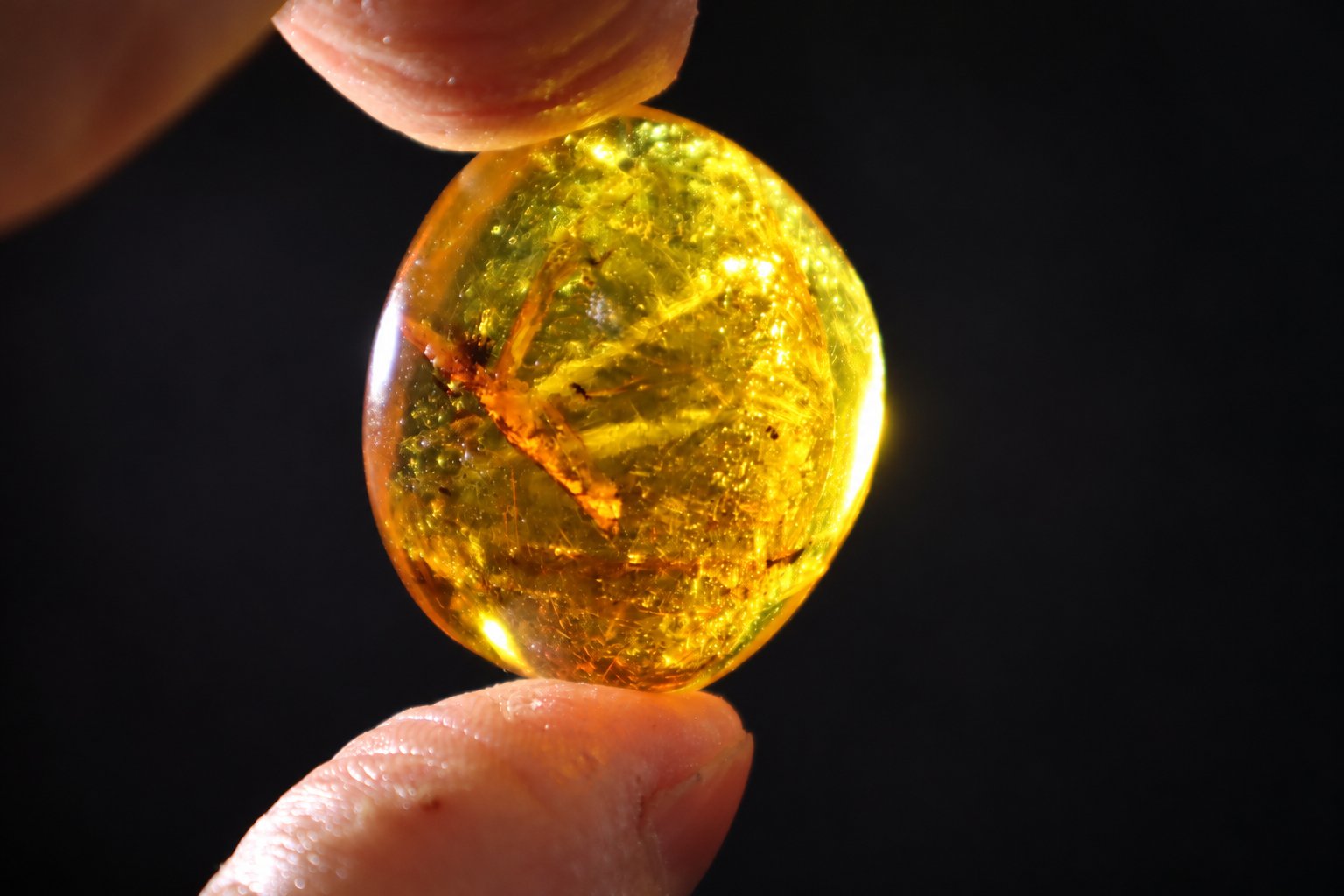 Genuine yellow orange polished Dominican amber – photo 8
