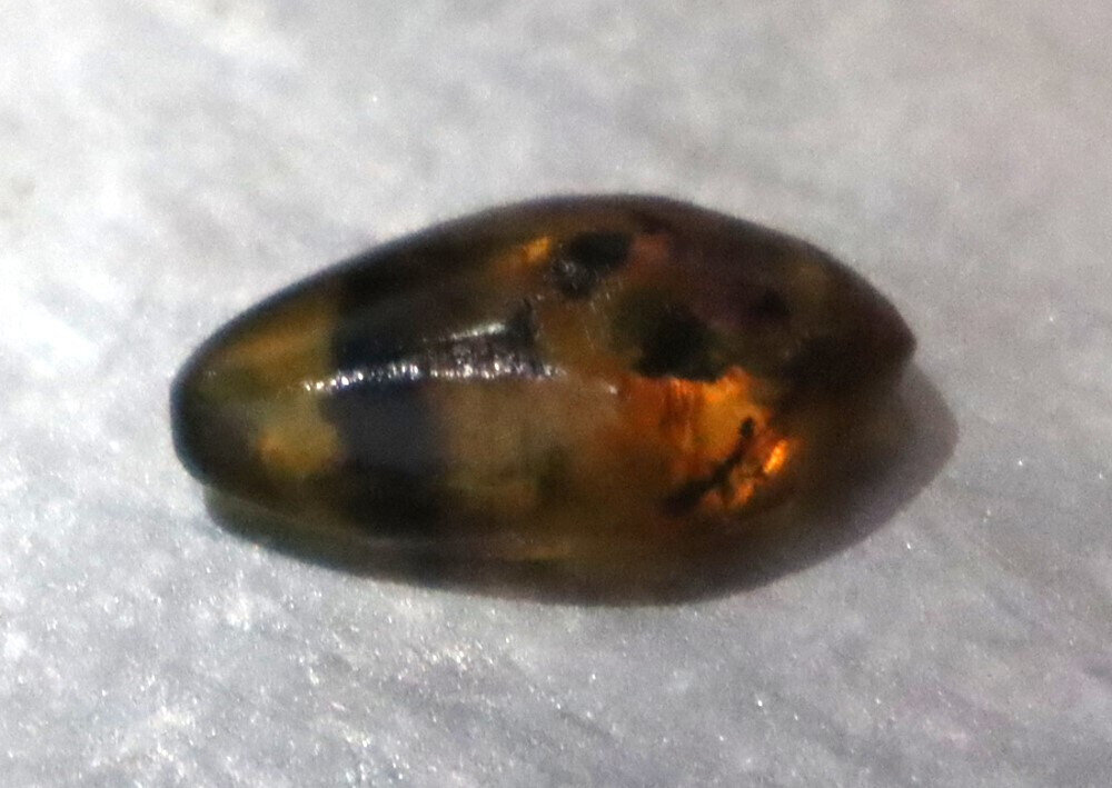 Lovely Natural Dominican Clear Deep Blue Amber Polished Stone 21mm – photo 8