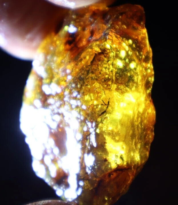 Exquisite Natural Dominican Crystal Clear Yellow Blue Amber Rough Specimen 42mm – photo 11