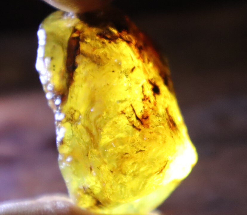 Impressive Natural Dominican Crystal Clear Yellow Blue Amber Rough Specimen 40mm – photo 10