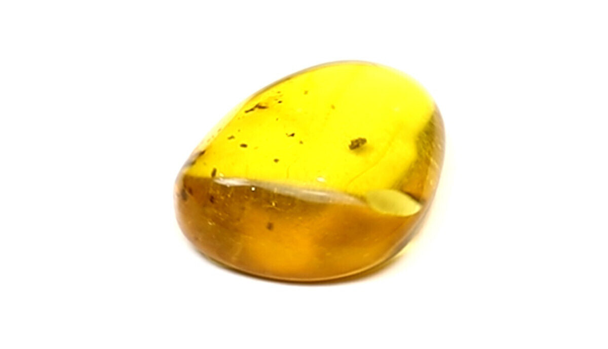 Splendid Natural Dominican Clear Yellow Amber Polished Stone Fossil Insect Bug – photo 4