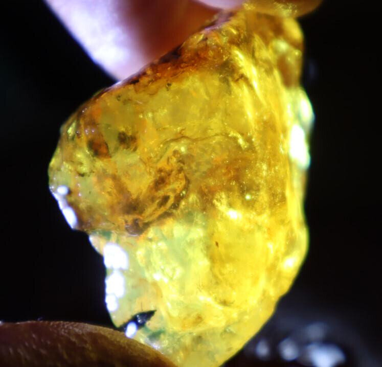 Exquisite Natural Dominican Crystal Clear Yellow Blue Amber Rough Specimen 46mm – photo 4
