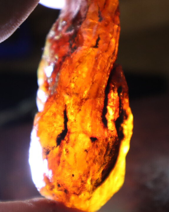 Impressive Natural Dominican Clear Green Blue Amber Rough Specimen 66mm 42.9g – photo 11