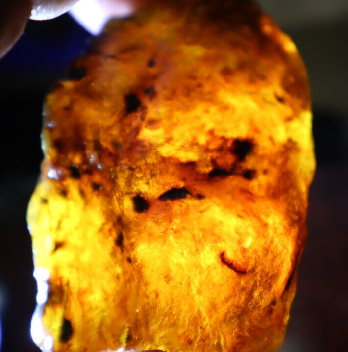 Impressive Natural Dominican Clear Green Blue Amber Rough Specimen 66mm 42.9g – photo 14
