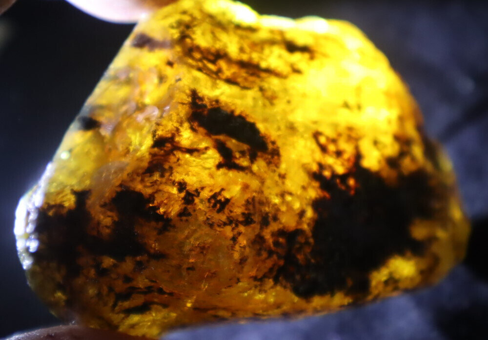 Beautiful Natural Dominican Clear Yellow Blue Amber Rough Specimen 73mm 44.5g – photo 10