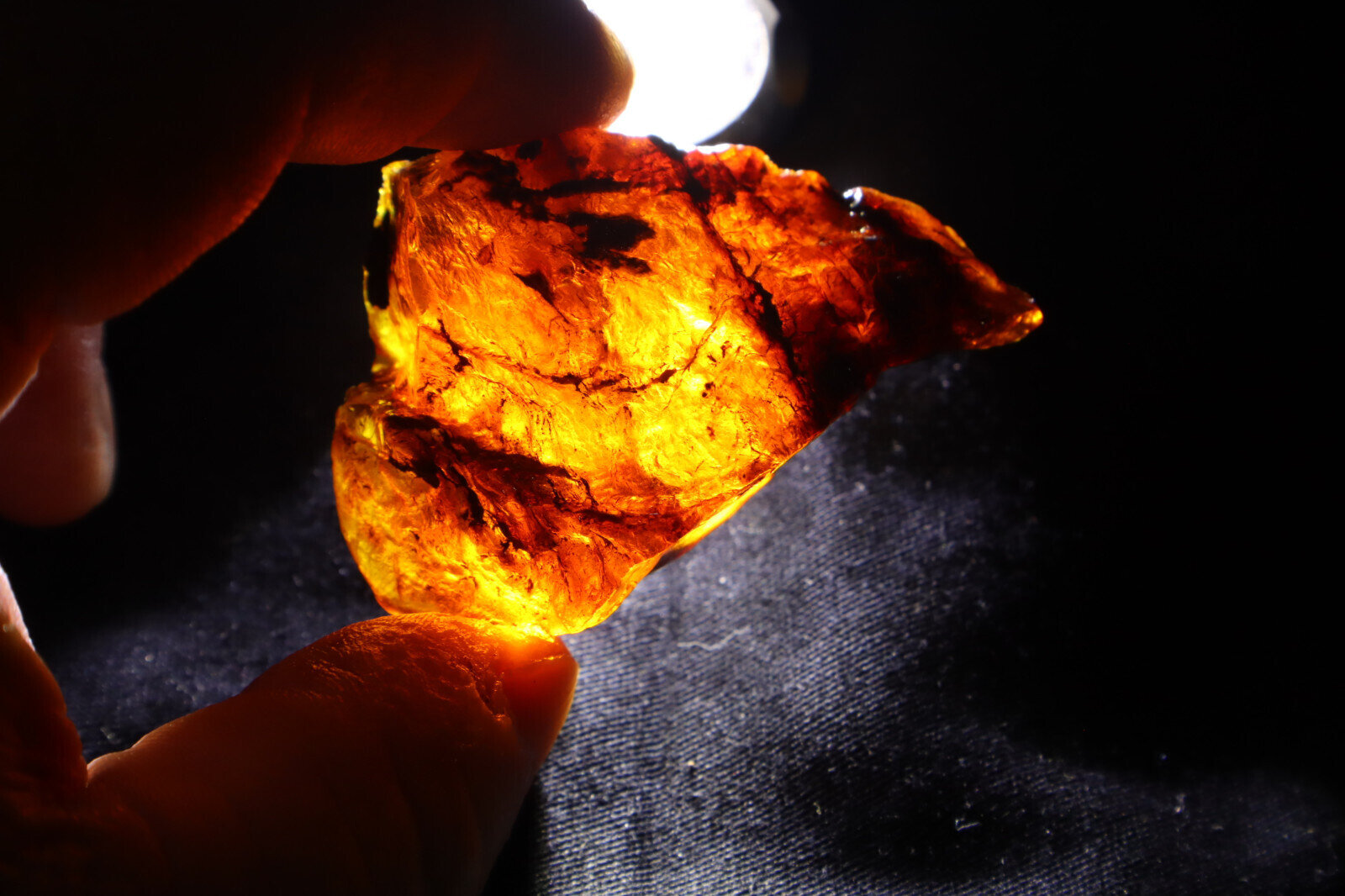 Outstanding Natural Dominican Clear Deep Blue Amber Rough Specimen 59mm 21g – photo 3