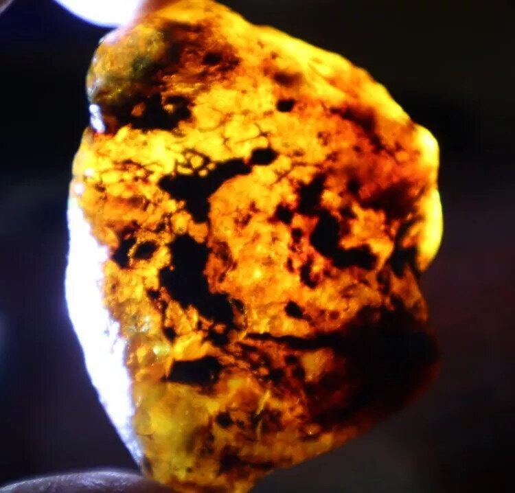 Beautiful Natural Dominican Clear Yellow Blue Amber Rough Specimen 53mm 30.1g – photo 9