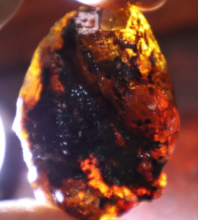 Beautiful Natural Dominican Translucent Green Blue Amber Rough Specimen 47mm 19g – photo 8