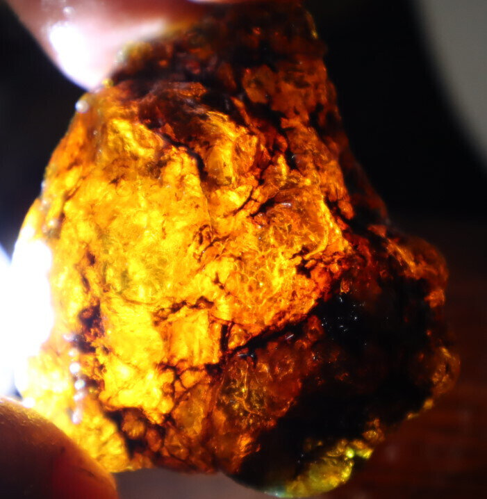 Exquisite Natural Dominican Clear Sky Blue Amber Rough Specimen 53mm 26g – photo 10