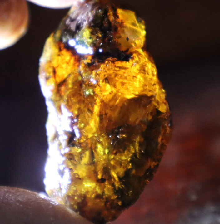 Beautiful Natural Dominican Clear Light Blue Amber Rough Specimen 47mm 12.5g – photo 9