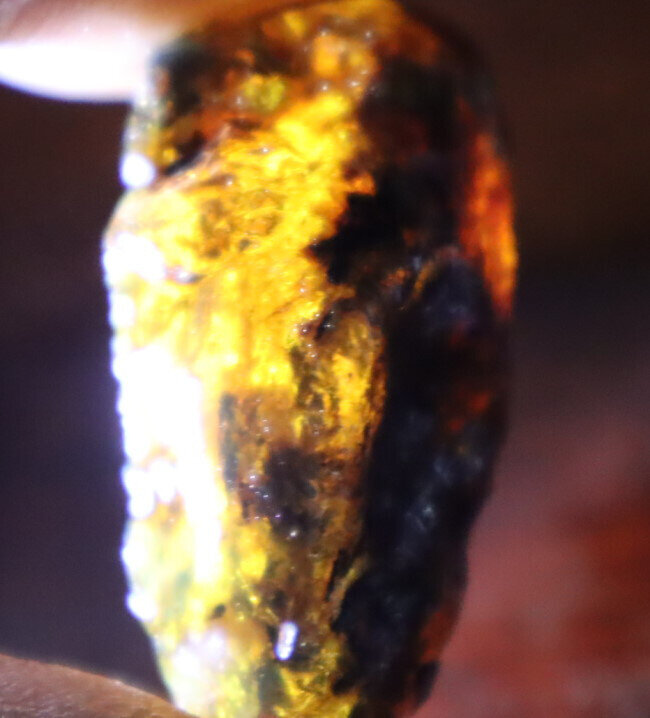 Beautiful Natural Dominican Clear Light Blue Amber Rough Specimen 47mm 12.5g – photo 11