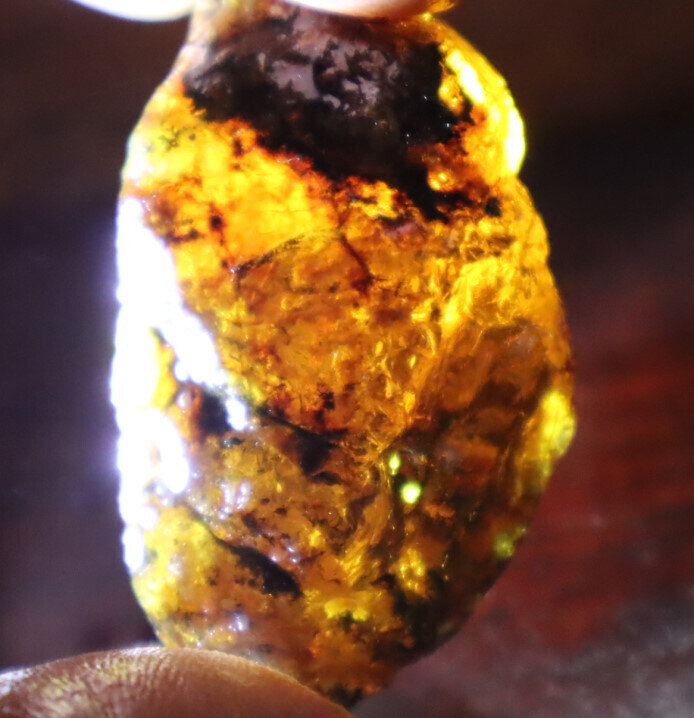 Beautiful Natural Dominican Clear Light Blue Amber Rough Specimen 47mm 12.5g – photo 12