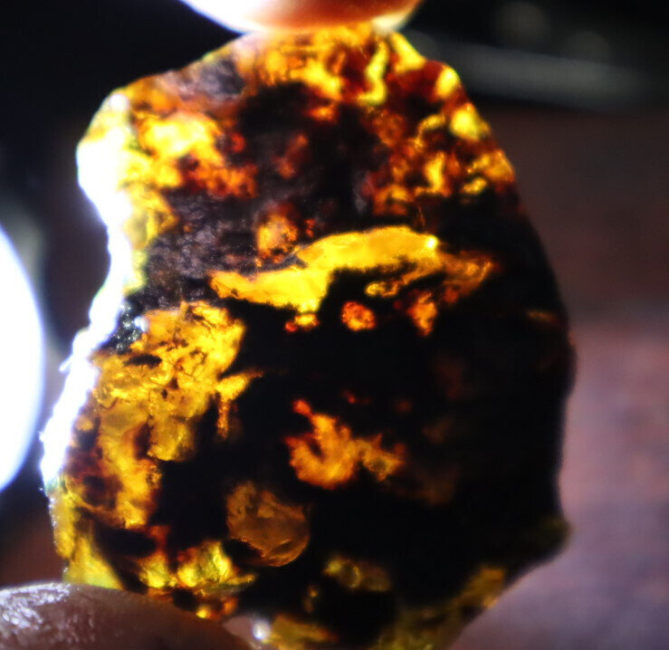 Excellent Natural Dominican Clear Sky Blue Amber Rough Specimen 44mm 11g – photo 8