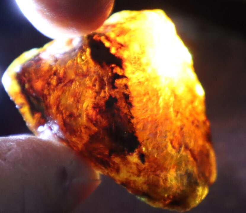Beautiful Natural Dominican Clear Sky Blue Amber Rough Specimen 48mm 17.2g – photo 9