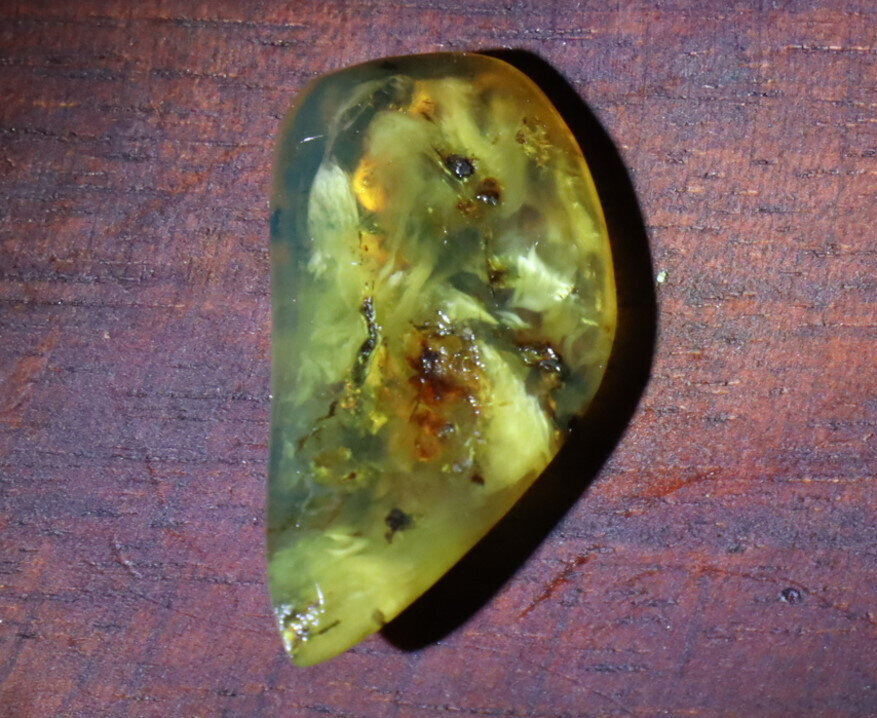 Finest Natural Dominican Translucent Green Yellow Amber Polished Stone 30mm – photo 4