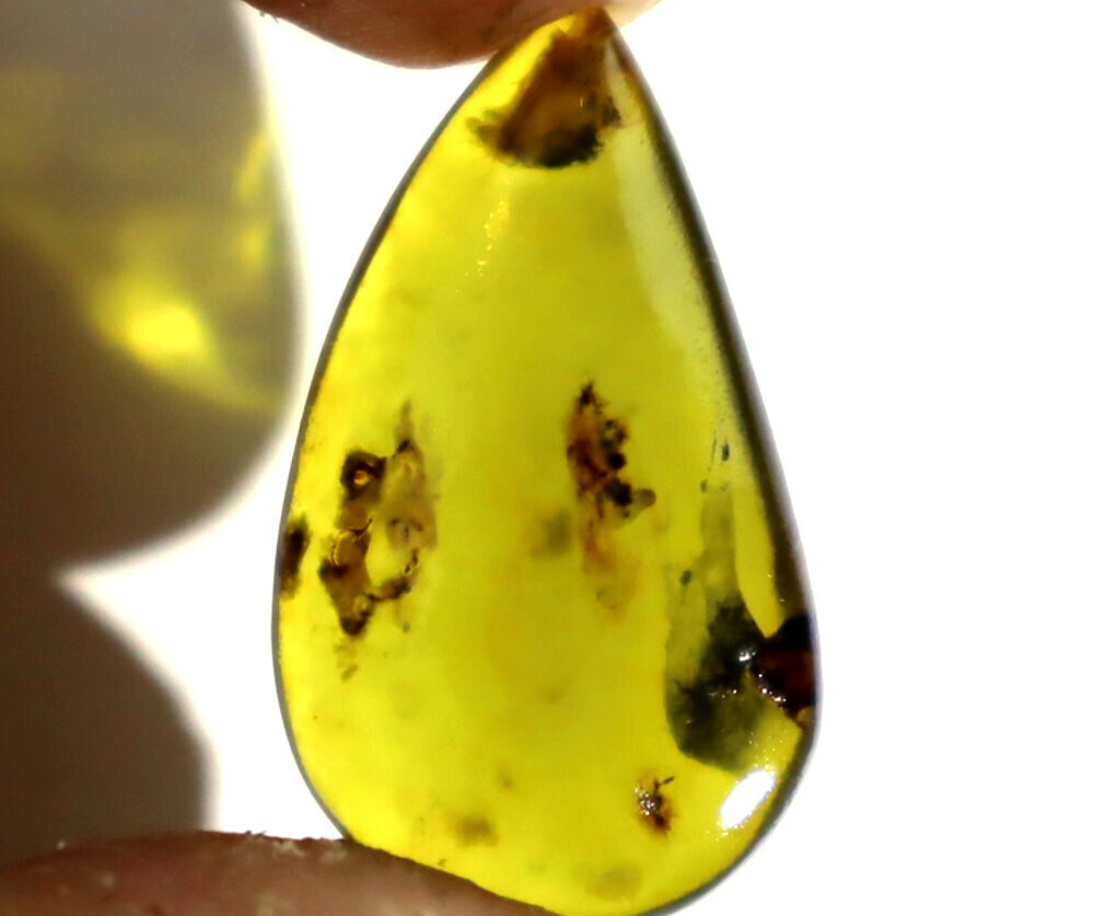 Exquisite Natural Dominican Clear Deep Green Amber Polished Stone 31mm – photo 6